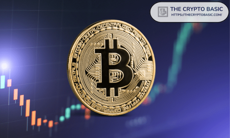 币圈赚钱原理是什么