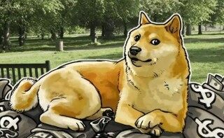 狗狗币最新版下载 狗币交易中心app下载