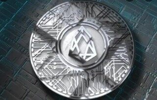 柚子币最新下载官方版本 柚子币官网新版下载