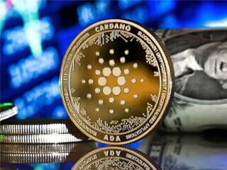 rbp币(rbp币透明实时监控)