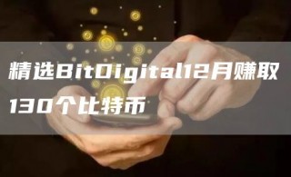 精选BitDigital12月赚取130个比特币
