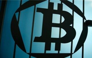 Arbitrum链上宠物xPET爆火!采用XPET、BPET双代币模式