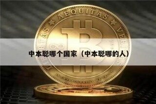 中本聪哪个国家(中本聪哪的人)