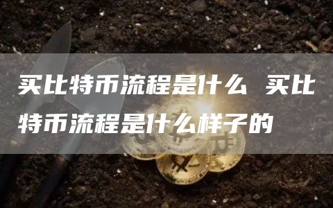 买比特币流程是什么 买比特币流程是什么样子的