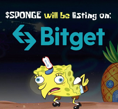 现在还能购买Meme币吗?meme币上涨行情即将到来