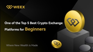 Weex交易平台官方入口_Weex交易所官方App下载地址 - 币圈网